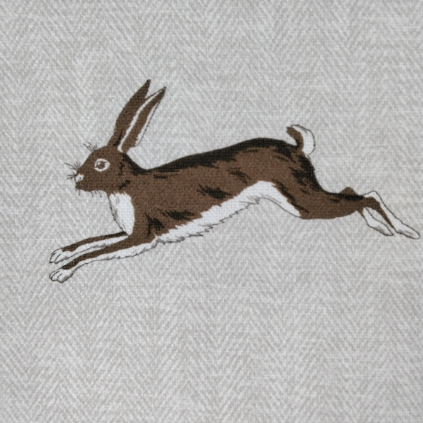 Hare Alice