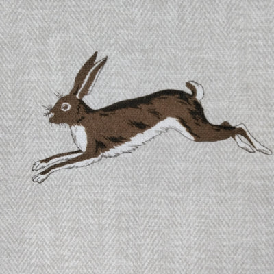 Hare Alice