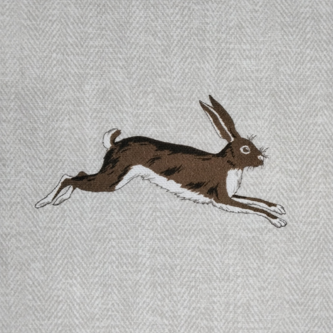 Hare Alice