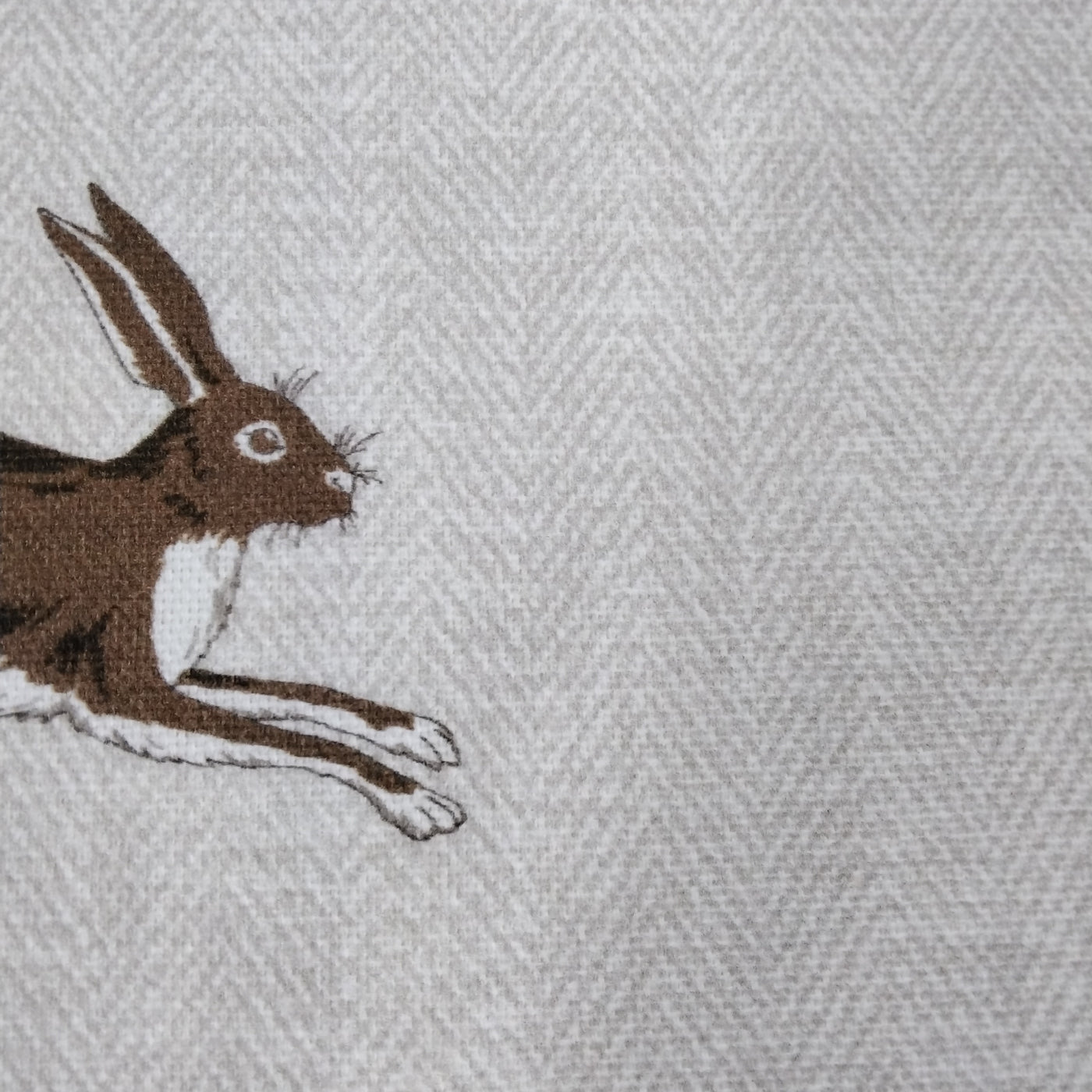 Hare Alice