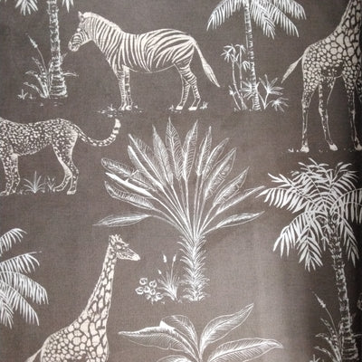 Safari