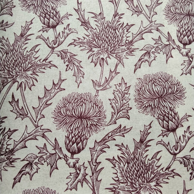 Carlina