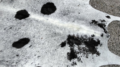 Natural Cowhide Rug/Throw