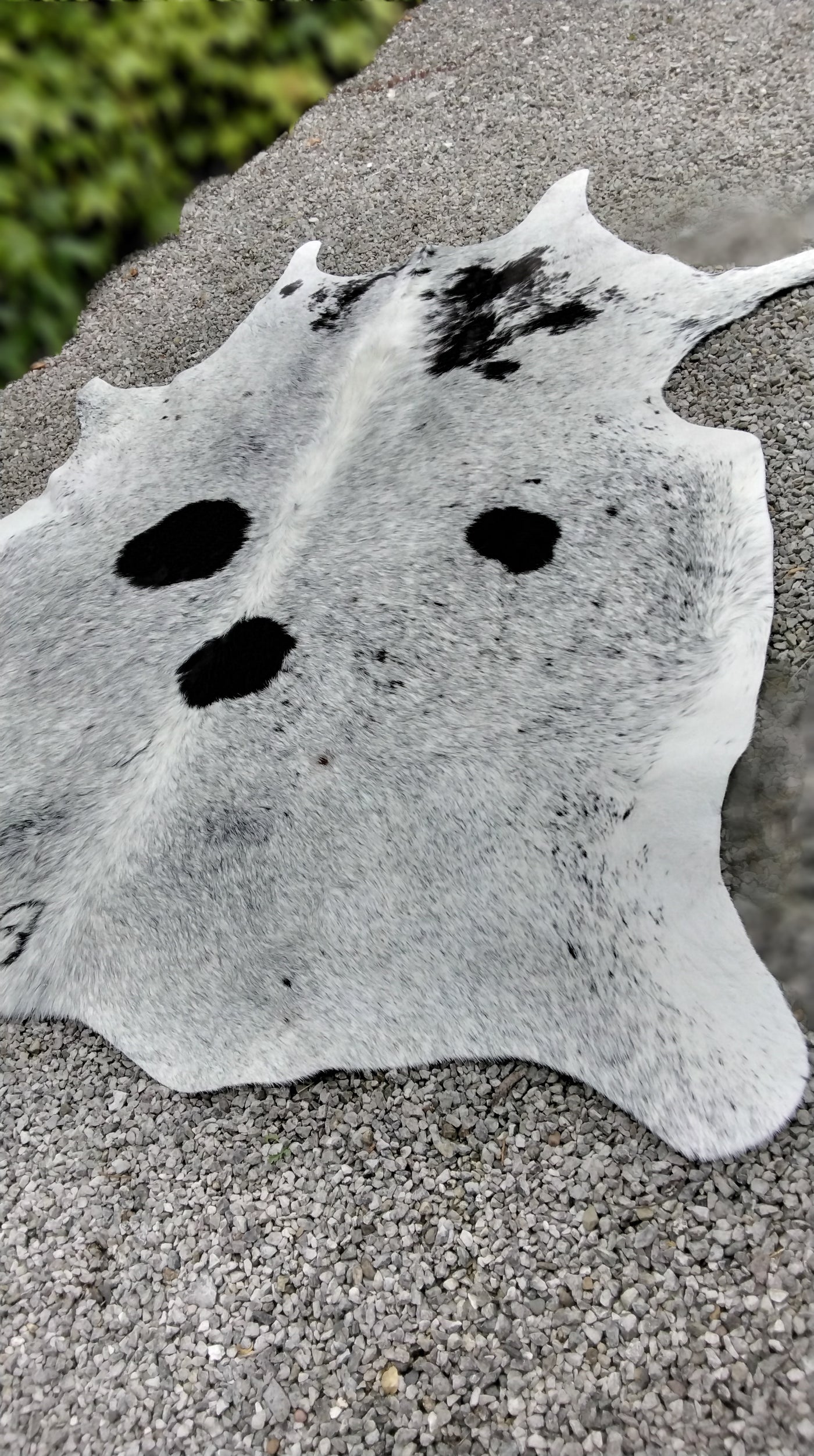 Natural Cowhide Rug/Throw