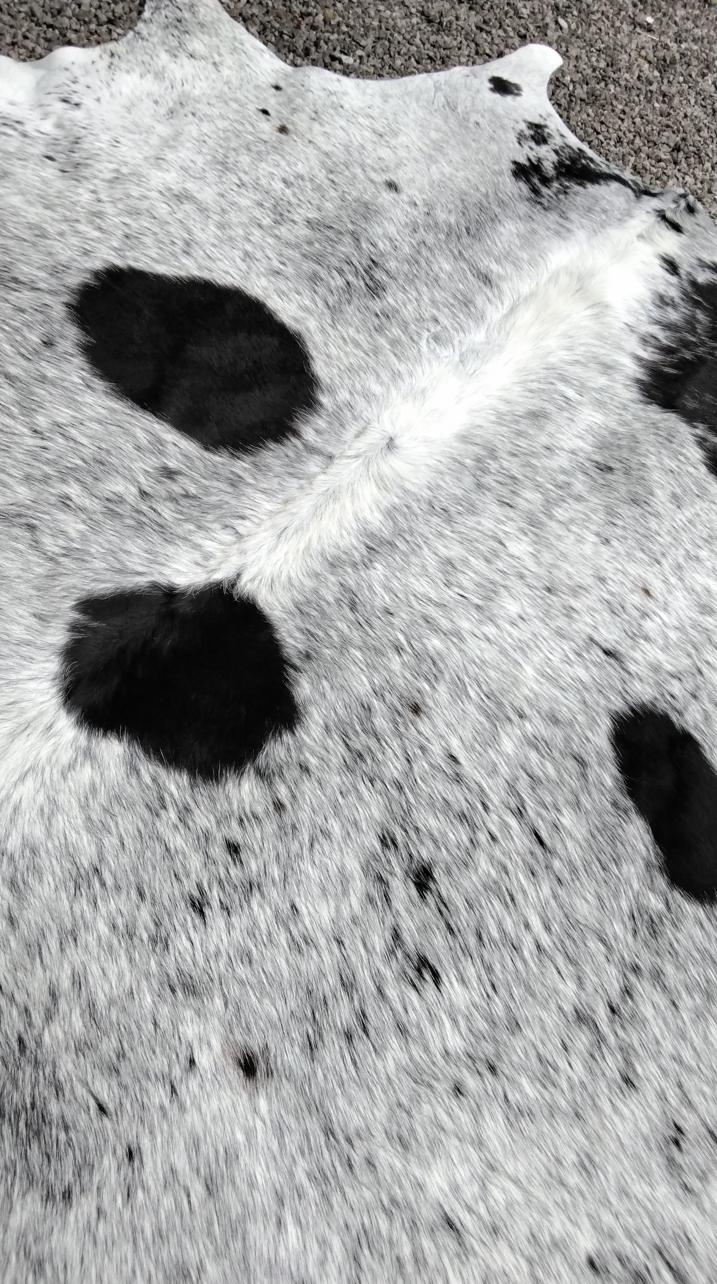 Natural Cowhide Rug/Throw