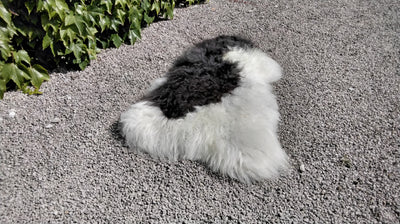 Natural Sheepskin Rug/Throw