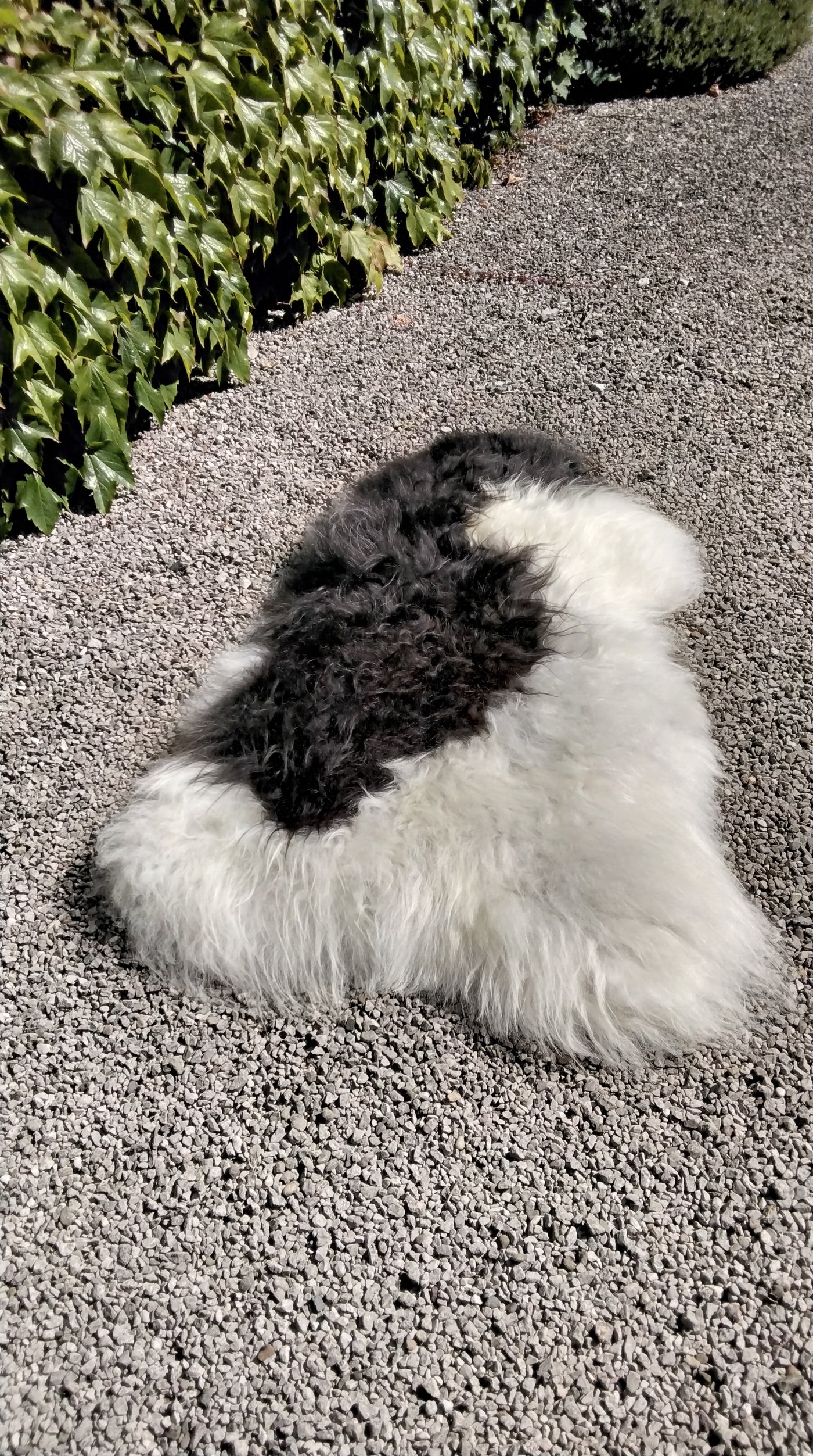 Natural Sheepskin Rug/Throw