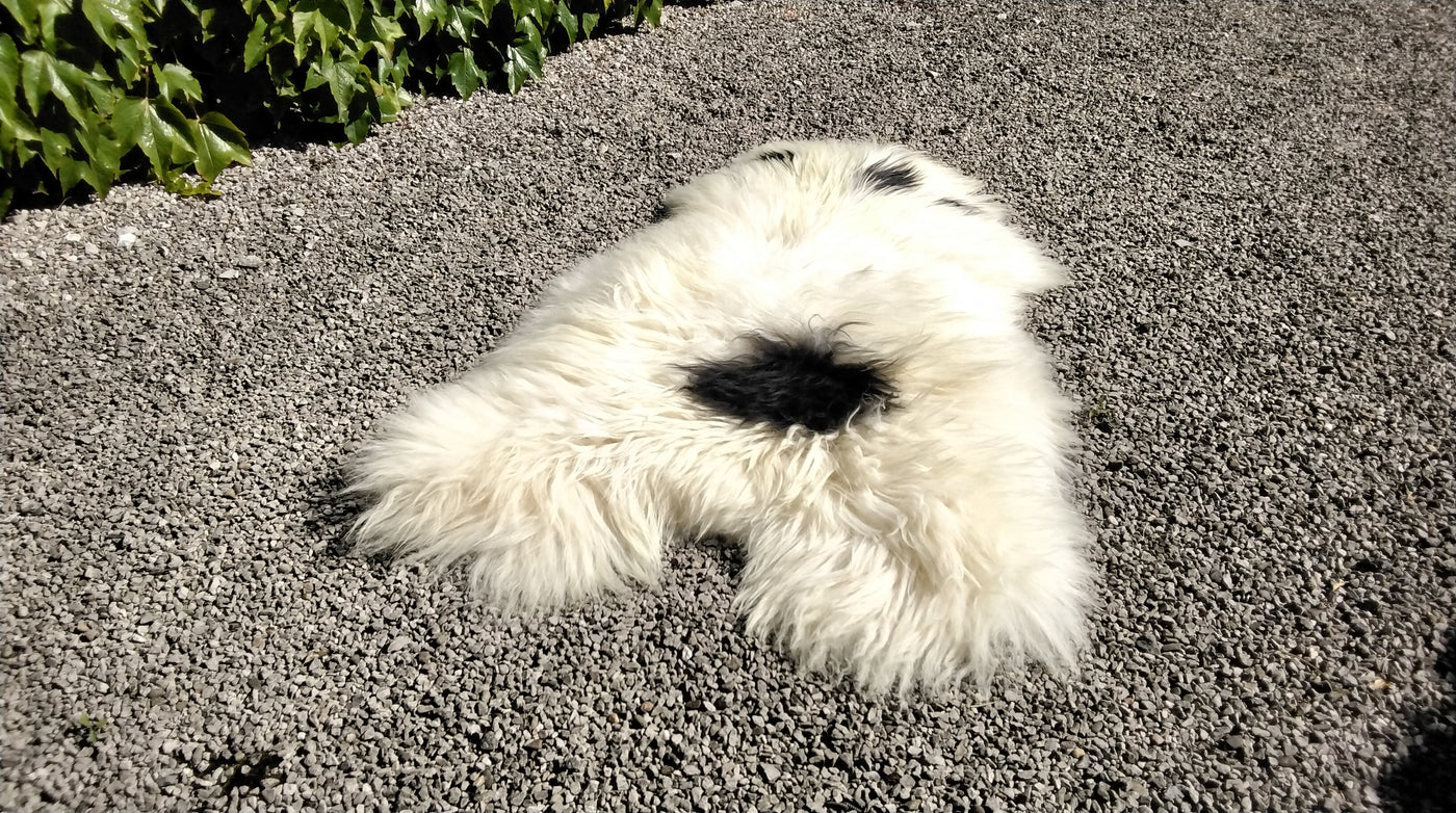 Natural Sheepskin Rug/Throw