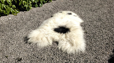 Natural Sheepskin Rug/Throw