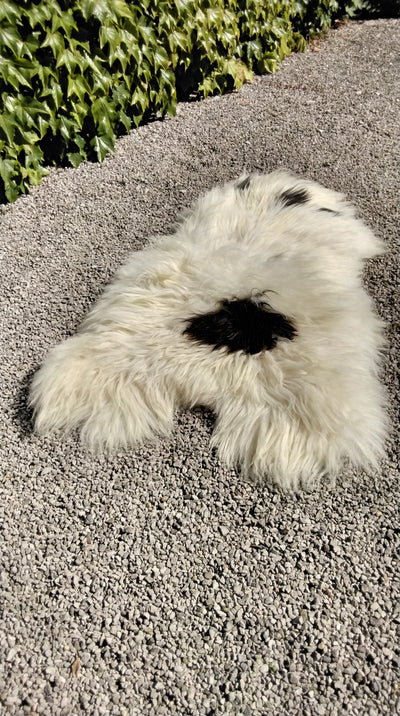 Natural Sheepskin Rug/Throw