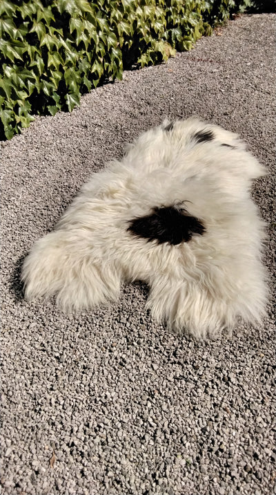 Natural Sheepskin Rug/Throw