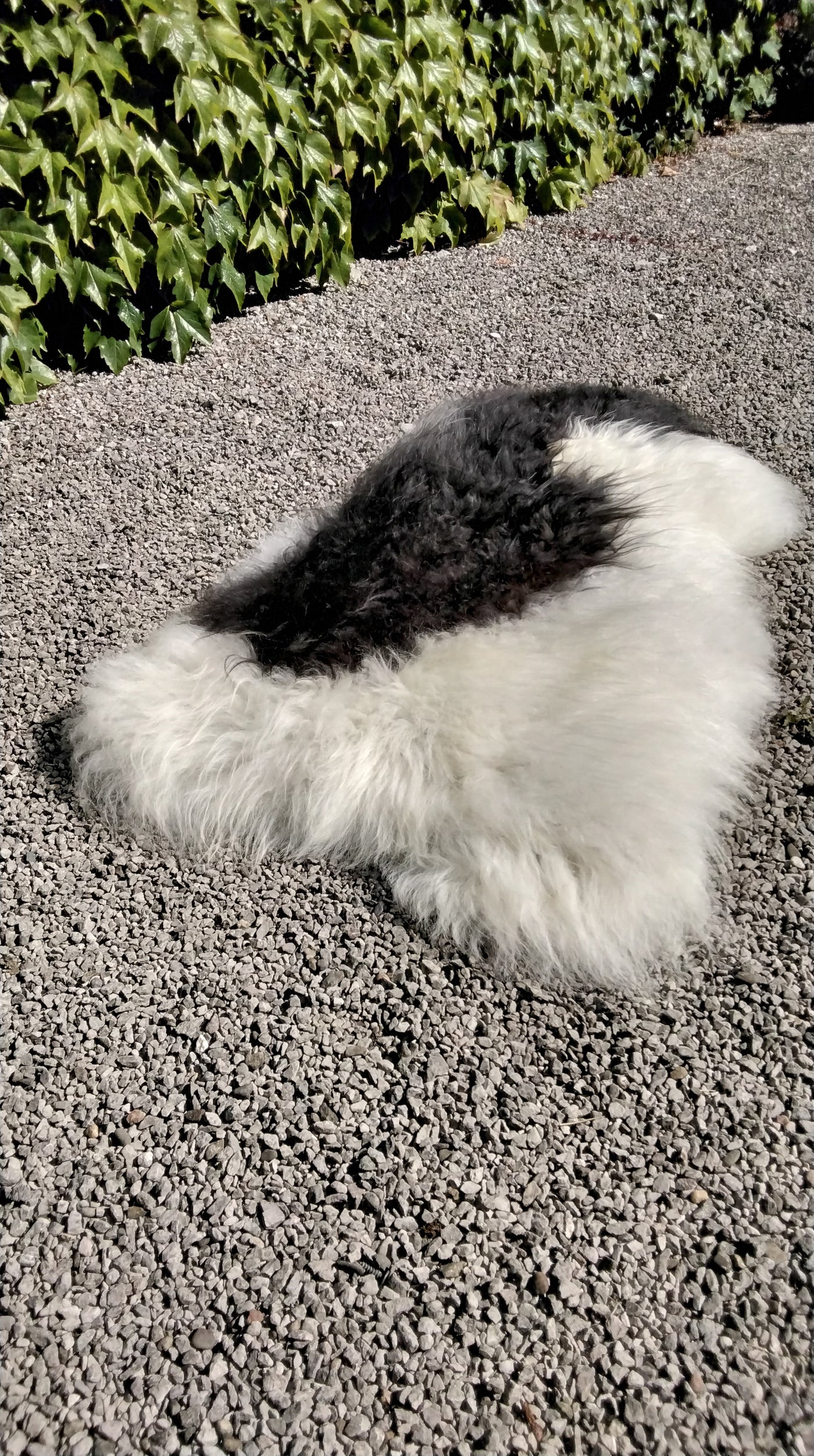 Natural Sheepskin Rug/Throw